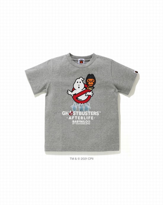 Grey Bape X Ghostbusters Milo Kids' T Shirts | ZA-25794